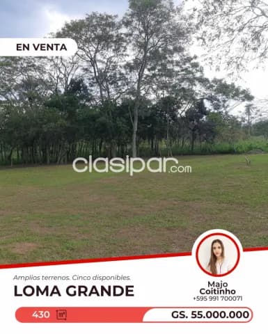 Terreno en Loma Grande — foto 4
