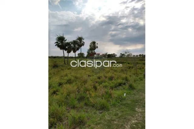 353 hectareas en villa oliva-dpto.ñeembucu a 800 mtrs de ruta alberdi ideal p/comerc — foto 3