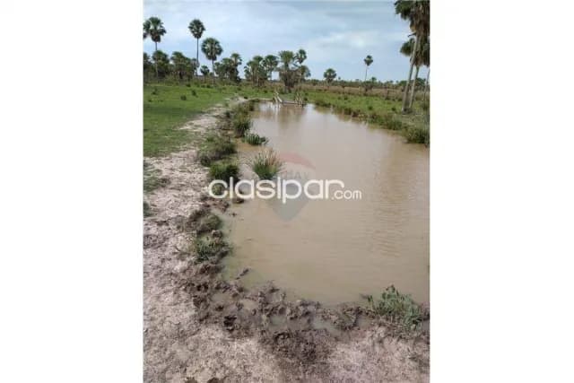 353 hectareas en villa oliva-dpto.ñeembucu a 800 mtrs de ruta alberdi ideal p/comerc — foto 4