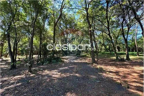 Se vende hermosa Casa Quinta de 6.334 m2 con piscina en Caacupé-Cordillera — foto 5