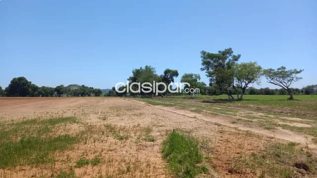 7, 5 hectareas en Chacoi lindante Rio Paraguay oferta por esye mes — foto 2