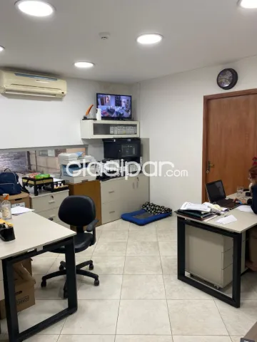 S/ boggiani: 800 m2, distinguido local p/ empresas, restaurantes, tiendas, showroom — foto 3