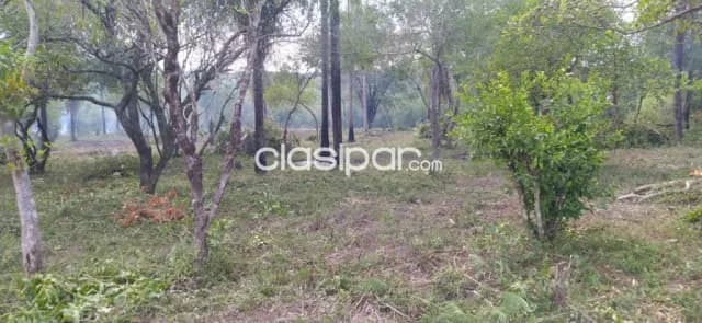 6 terrenos en caacupe barrio costa puku — foto 3