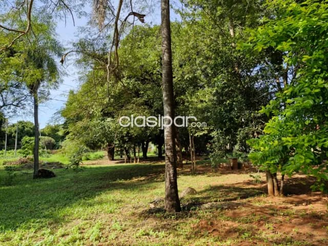 Terreno/propiedad de 5.000 m2 en barrio primavera Luque gs 1.900 millones cod v0134, foto 5