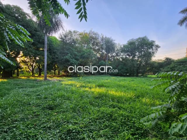 Terreno único en Madama Lynch — foto 3