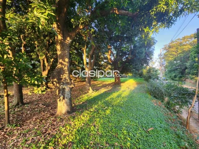 Terreno único en Madama Lynch — foto 4