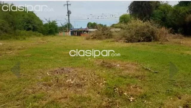 2 Terrenos juntos en Alberdi, sobre ruta principal, foto 4