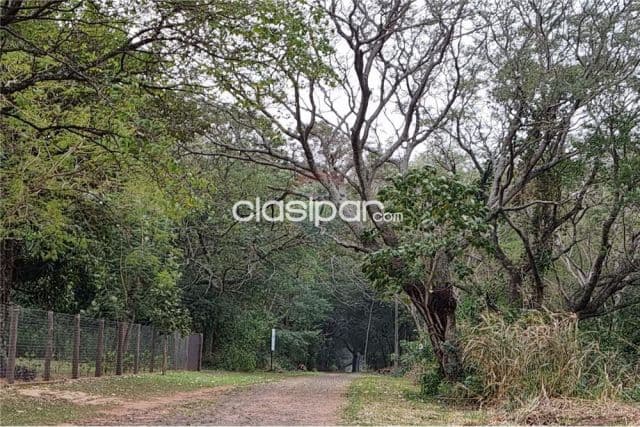 Terreno en Mariano Roque Alonso