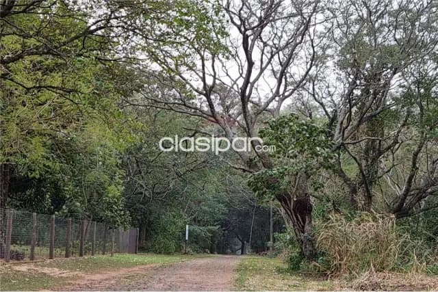 Terreno en Mariano Roque Alonso — foto 2
