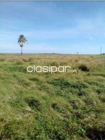 Campo de 4.911 Hectáreas, Zona Arroyos y Esteros - CLCS6233254