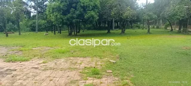 2,5 ha.de campo en zona villa flor-loma grande, foto 4