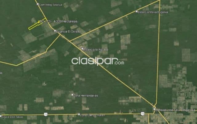 Campo de 4.339 Hectáreas, Zona Tte Enciso - CLCS6234109