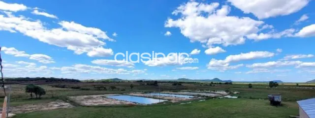 Campo Ganadero en Ita - 48 Ha, foto 2