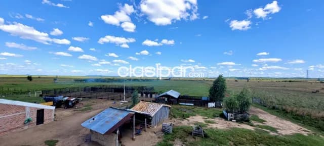 Campo Ganadero en Ita - 48 Ha, foto 4