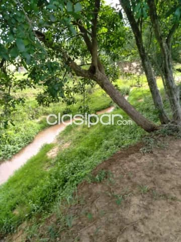 2,5 ha. De campo en altos con arroyito — foto 3