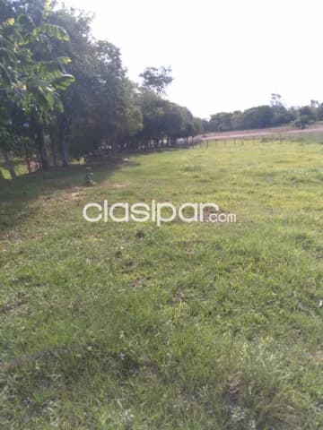 2,5 ha. De campo en altos con arroyito — foto 4