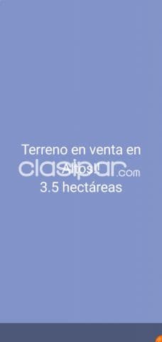 3,5 ha. De campo en altos-zona tucangua cañada, foto 1