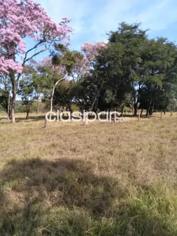 3,5 ha. De campo en altos-zona tucangua cañada, foto 4