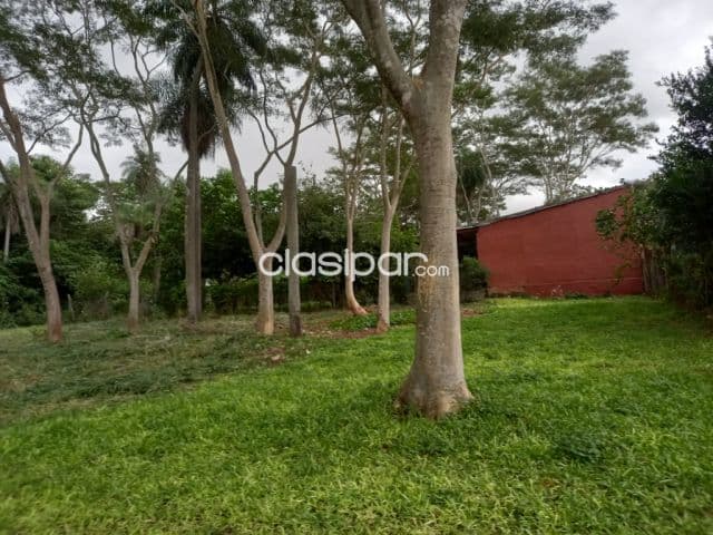 Terreno de 14x32 en esquina Zona Colonia Thompson de Capiata, foto 1