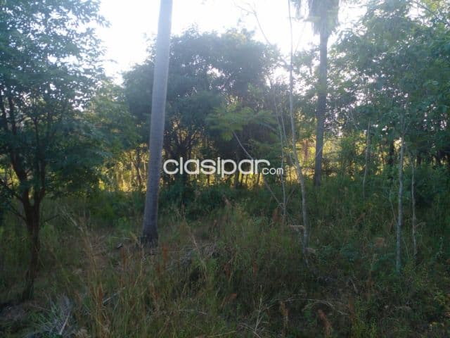 de terreno de 12 ha.en Nueva Colombia, foto 1