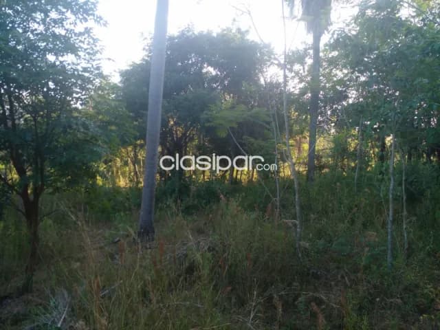 de terreno de 12 ha.en Nueva Colombia, foto 2