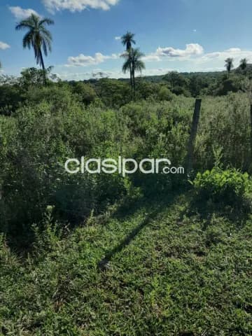 de terreno de 12 ha.en Nueva Colombia, foto 3