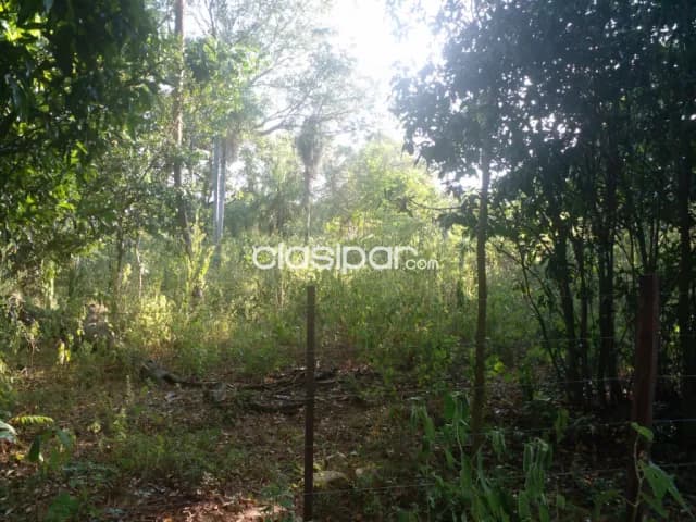 de terreno de 12 ha.en Nueva Colombia, foto 4