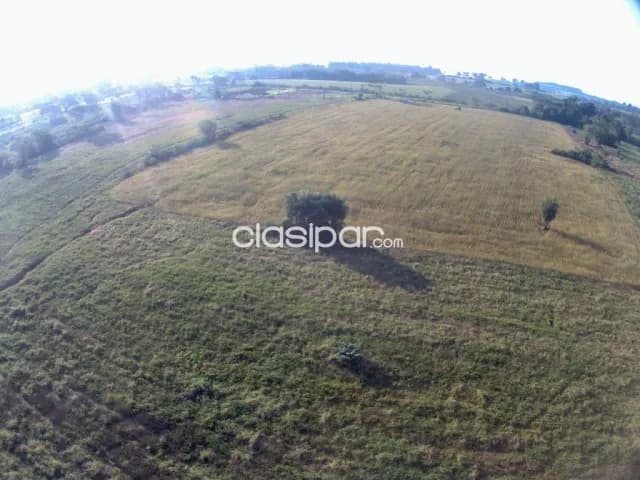Terreno Rural Mecanizado en San Pedro del Paraná - 20 Ha — foto 2