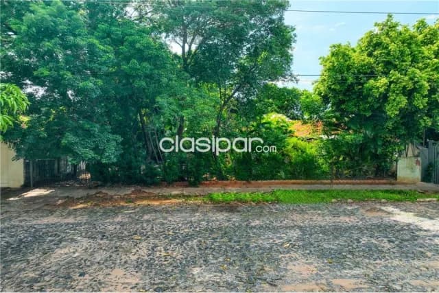 Terreno en los Laureles 600m2 — foto 3