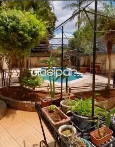 casa Luque, zona plaza madero, jardin de oro — foto 5