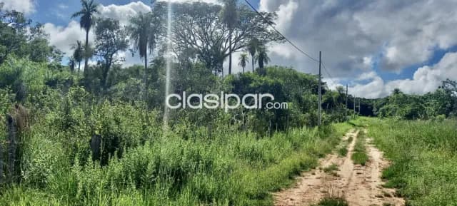 6,5 ha. De campo en altos-zona paso itape, foto 3