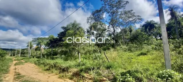 6,5 ha. De campo en altos-zona paso itape, foto 4