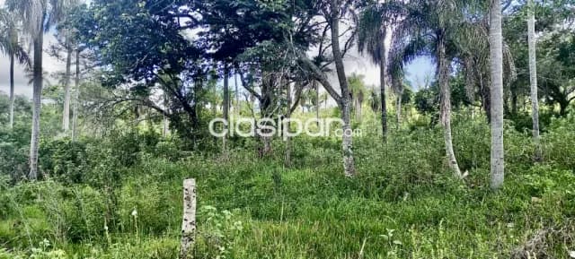 6,5 ha. De campo en altos-zona paso itape, foto 5