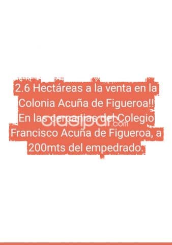 2,6 ha. De campo en alto-cia.francisco acuña