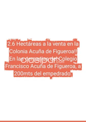 2,6 ha. De campo en alto-cia.francisco acuña, foto 2