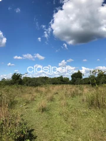 2,6 ha. De campo en alto-cia.francisco acuña, foto 3