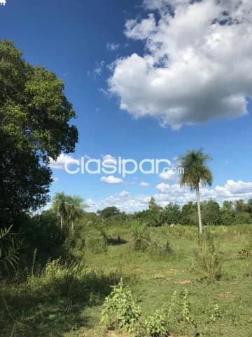 2,6 ha. De campo en alto-cia.francisco acuña, foto 4