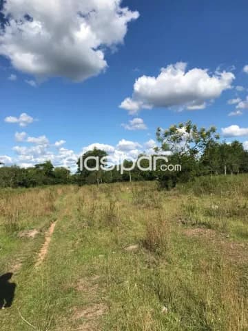 2,6 ha. De campo en alto-cia.francisco acuña, foto 5