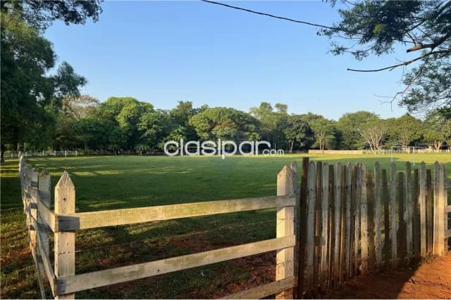 En venta amplio terreno con granja y casa, situado en la ciudad de Ita, foto 5