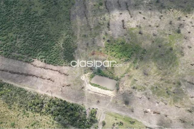 Estancia/Campo - Venta - Paraguay Presidente Hayes General José María Bruguéz, foto 4