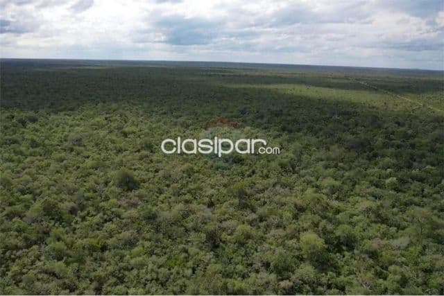 En venta 3.974 hectáreas de monte en bahía negra