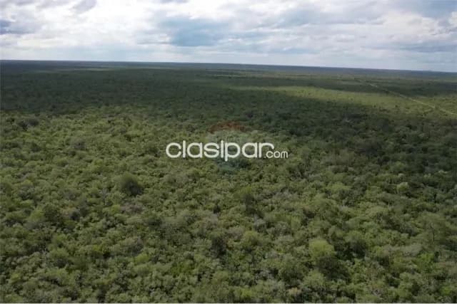 En venta 3.974 hectáreas de monte en bahía negra — foto 2
