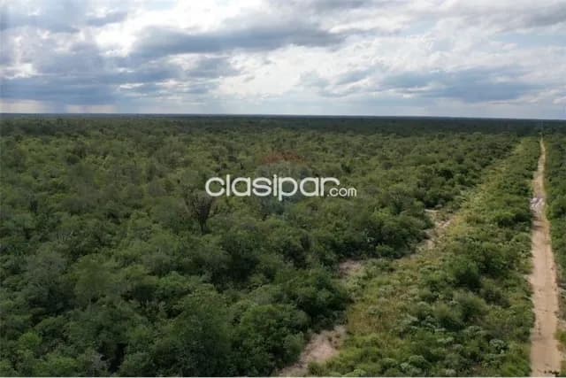 En venta 3.974 hectáreas de monte en bahía negra — foto 3