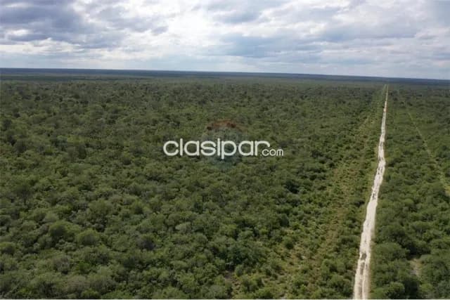 En venta 3.974 hectáreas de monte en bahía negra — foto 5