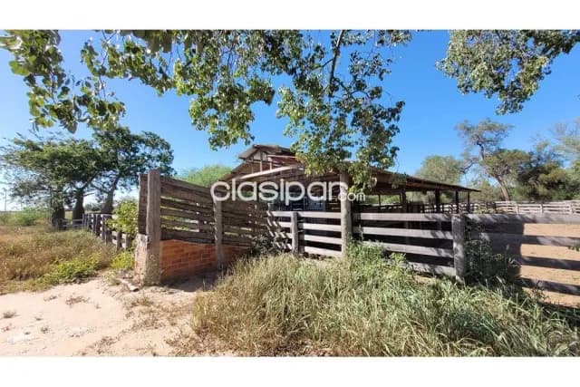 En venta Estancia Cruce Toledo sobre Asfalto — foto 4