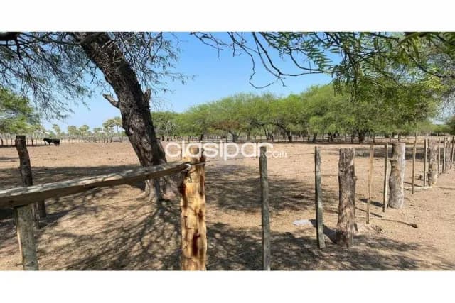 En venta imponente estancia en excelentes condiciones DISTRITO FORTIN CABALLERO - PTE. HAY — foto 4