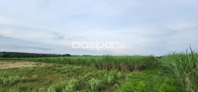 Terreno Rural en San Jose de Los Arroyos - 11 Ha — foto 2