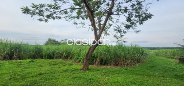 Terreno Rural en San Jose de Los Arroyos - 11 Ha — foto 3