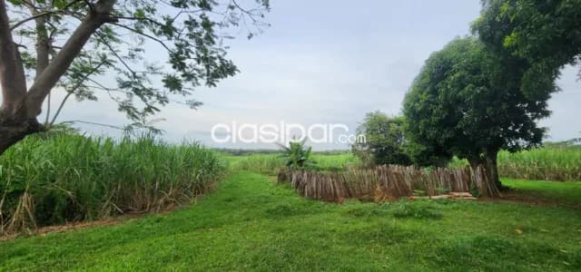 Terreno Rural en San Jose de Los Arroyos - 11 Ha — foto 4
