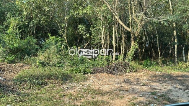 Propiedad de 2 Hectáreas, Zona Anfiteatro - LLA6260045 — foto principal